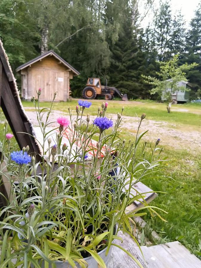 Kulttuurikartano Pekan Pirtit Haapavesi Exteriör bild