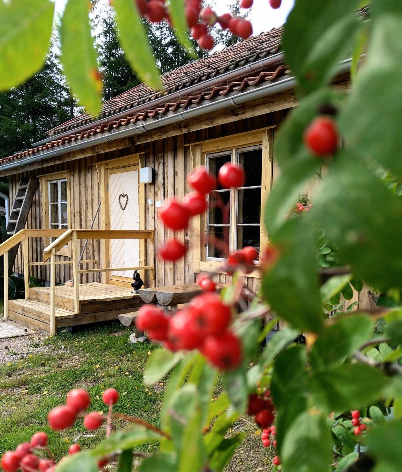 Kulttuurikartano Pekan Pirtit Haapavesi Exteriör bild